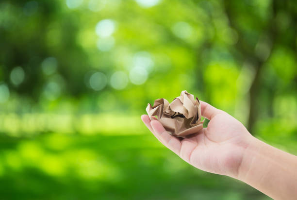 istock Hand holding crumpled paper isolated on white background. 692786600
