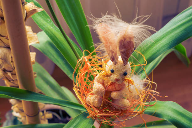 istock Bunny in the nest in green plant during easter 692793654