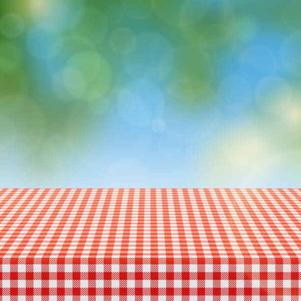 Picnic table with red checkered pattern of linen tablecloth and blurred nature background vector illustration Picnic table with red checkered pattern of linen tablecloth and blurred nature background vector illustration. Checkered tablecloth textile for garden table tablecloth illustrations stock illustrations