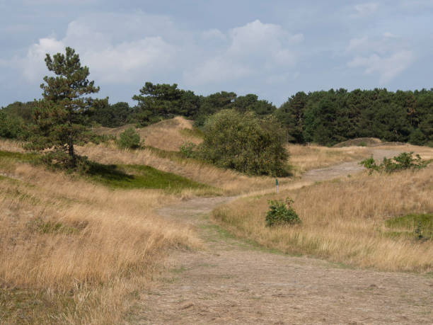 istock beach of spiekeroog 692801696