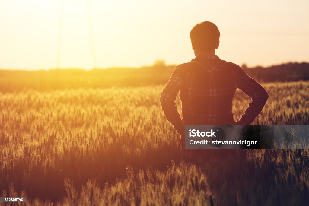 Cultivé de concernés agronome femme debout dans champ de cultures de blé - Photo de Agriculteur libre de droits