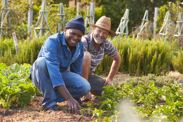 A scene showing two people working the soil with tools in an outdoor field, demonstrating teamwork and agricultural dedication, set against a natural background.