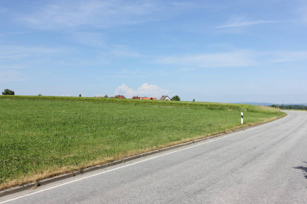 road in summer landscape