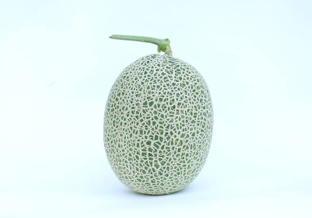 japanese green cantaloup melon on white background.