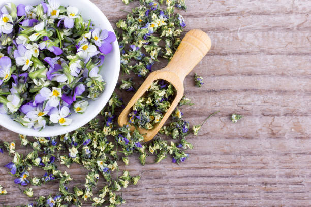 istock small, violet heartsease 692832660