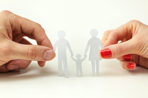 concept of family care