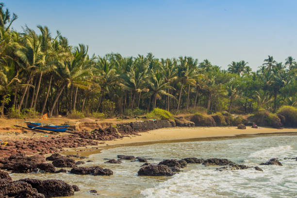 istock Wild beach in Maharashtra state, India, Arabian sea 692845546