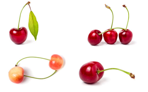 istock Red sweet cherry isolated on white background. Collection or set 692848466