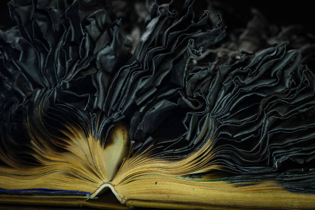 Burnt Book A book that has been burnt but has some fresh paper at the core. It has a wonderful interplay between the burned black section and the unburned parts. The texture is a main part of this image. book burning stock pictures, royalty-free photos & images