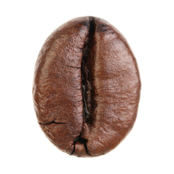 grano de café aislado sobre fondo blanco  - bean macro brown roasted fotografías e imágenes de stock