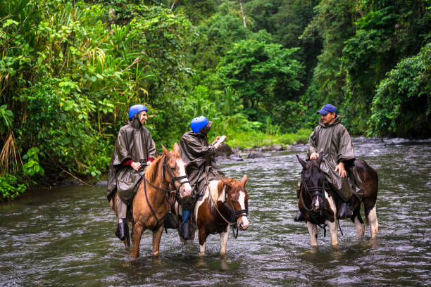 Horseback riding on foot of  Volcano Arenal, Costa Rica. stock photo