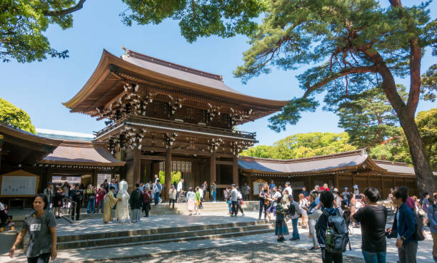 Tourist are taking picture of Meiji Shrine. stock photo