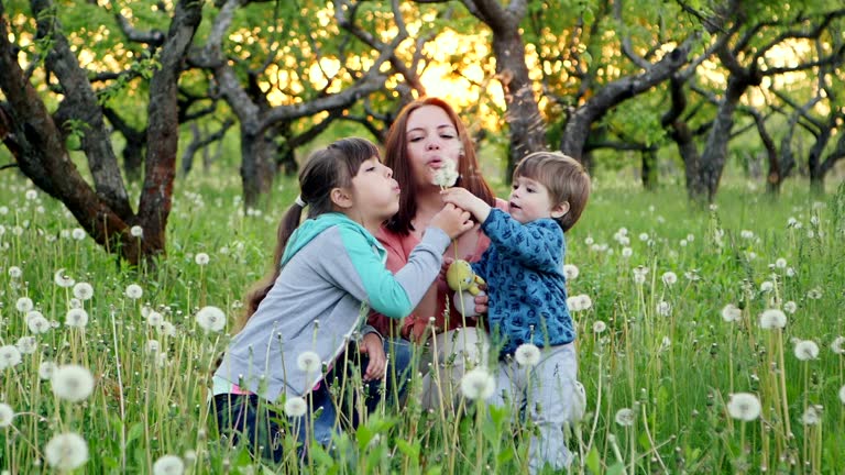 Family Playing With Dandelions In the Garden