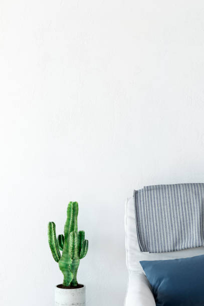 istock mock up wall interior. Scandinavian style. Wall art. 3d rendering, 3d illustration 692865582