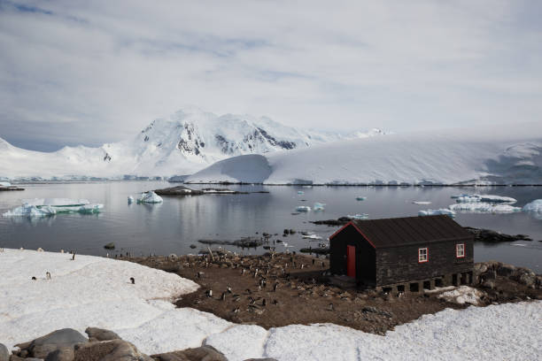 istock Research Hut at Port Lockroy, Antarctica 692865644