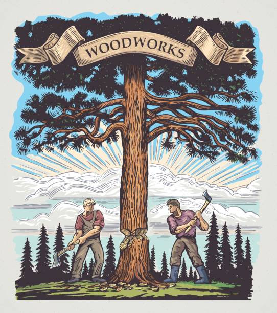 Woodworking Two of the lumberjack chopped the tree with axes. Illustration made in graphic style and painted in color. drawing of slaves working stock illustrations