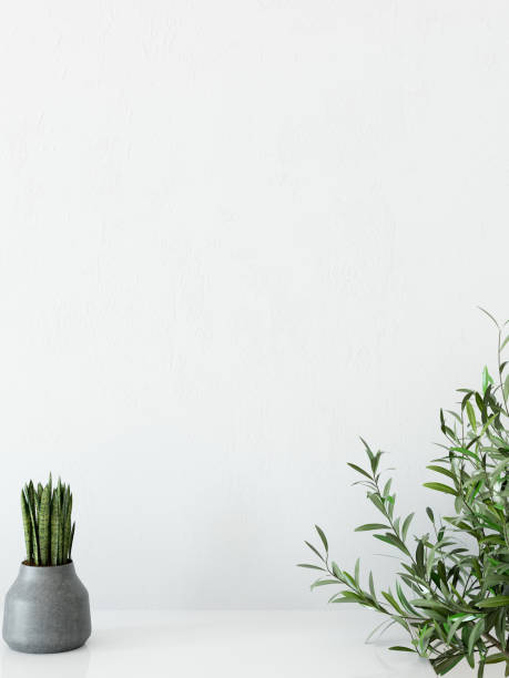 istock mock up wall interior. Scandinavian style. Wall art. 3d rendering, 3d illustration 692866280