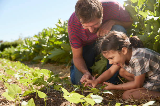 istock Father And Daughter Looking At Young Plants Growing On Allotment 692866426
