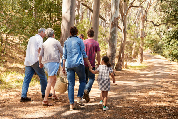 rückansicht des multi-generationen-familie auf spaziergang in natur - family grandmother multi generation family nature stock-fotos und bilder