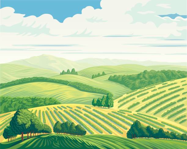 Rural landscape Rural landscape with hills and fields, vector illustration. field non urban scene sky landscape stock illustrations