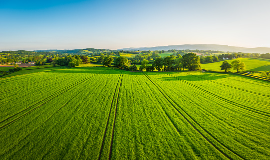 Panorama aéreo sobre cultivos saludables verdes en cultivo de pasto de patchwork photo