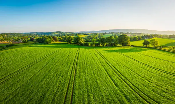 Photo of Aerial panorama over healthy green crops in patchwork pasture farmland