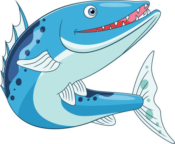 illustrazioni stock, clip art, cartoni animati e icone di tendenza di barracuda divertente - barracuda