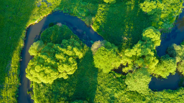 istock Aerial view of river valley in beautiful sunset light 692872048