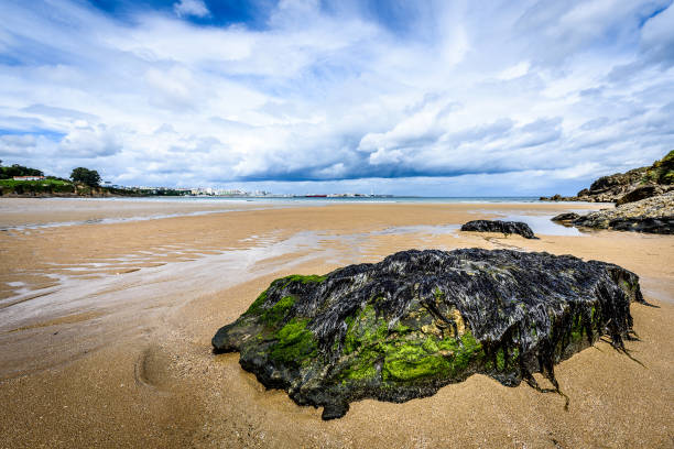 Atlantic sandy beach in Spain with city of Coruna background. Tropical sandy beach with giant stone rocks, dramatic clouds and atlantic ocean.