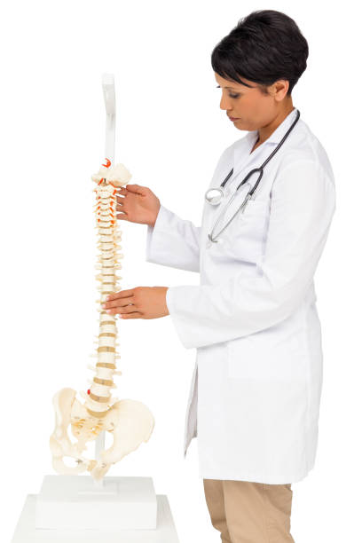 Human skeleton model on classroom
