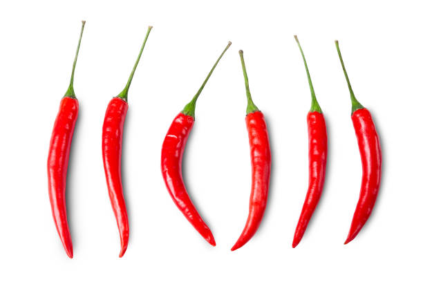 piment rouge isolé sur blanc - food thailand red pepper photos et images de collection