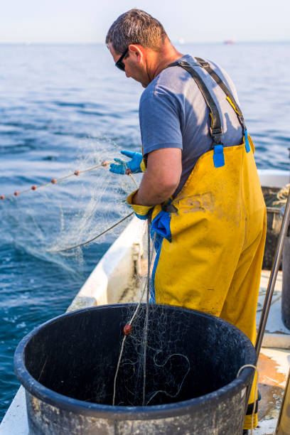 istock Fisherman on his boat 692887518