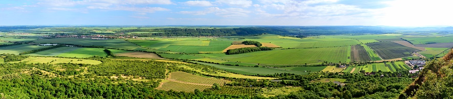 High spring view on the forest and fields