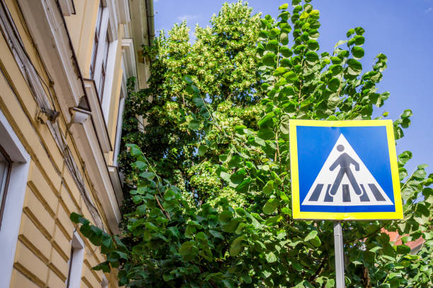 istock Crosswalk traffic sign 692888420