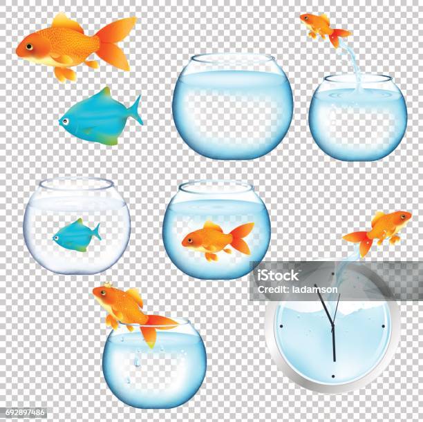 Fish And Aquariums Set Stock Illustration - Download Image Now - Fish, Escaping, Goldfish