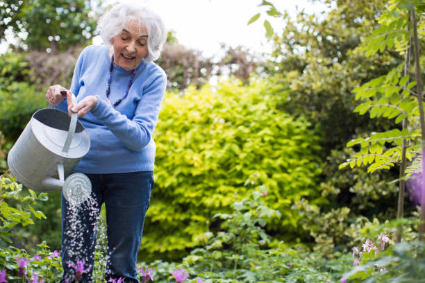 年配の女性の庭の花に水をまく - flower bed plant single flower flower ストックフォトと画像