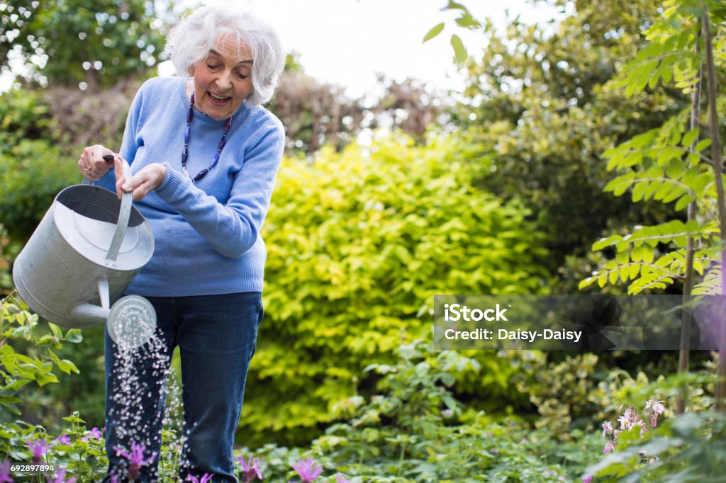 Senior Woman Watering Flowers In Garden Senior Adult Stock Photo