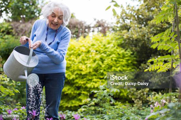 Senior Woman Watering Flowers In Garden Stock Photo - Download Image Now - Senior Adult, Gardening, Yard - Grounds