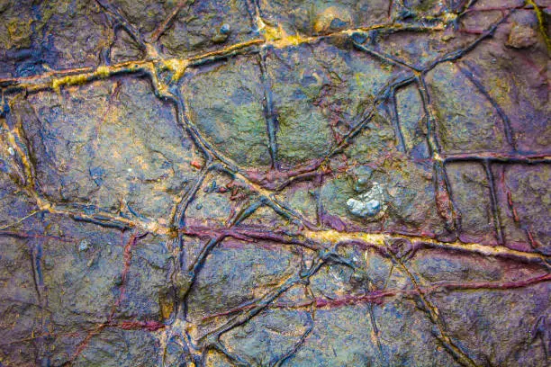 Geological lines found on a stone on Southerness Beach in Dumfries and Galloway, Scotland.