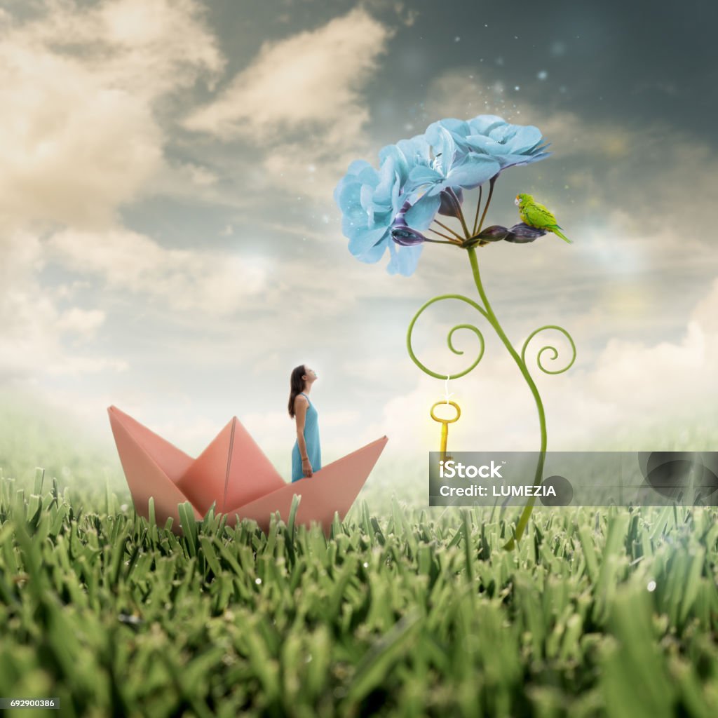 Photo manipulation: unlocking the power of individual potential Black haired young woman looks up at a blown up flower with a parrot and a golden key hanging from its spiralling leaf on a shining field of grass Flower Stock Photo