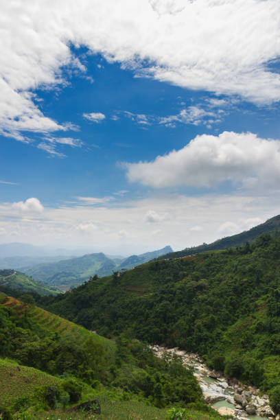 istock Forest of the Fansipane Mountain 692908234