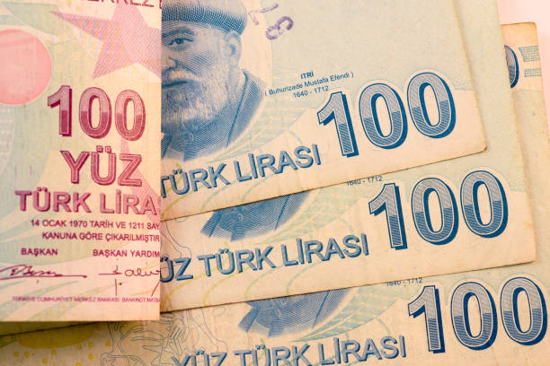 istock Close up Turkish lira currency note 692908660