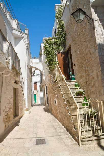 istock Alleyway. Cisternino. Puglia. Italy. 692909720