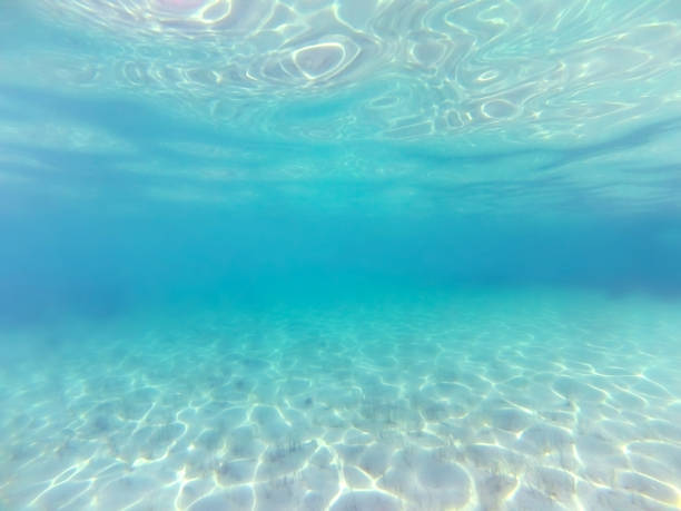 istock Underwater background. Blue sea water 692910476