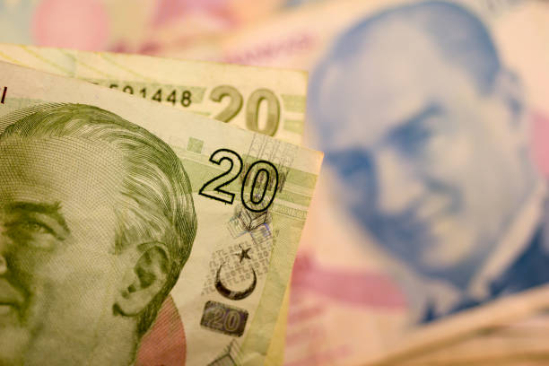 istock Close up Turkish lira currency note 692922280