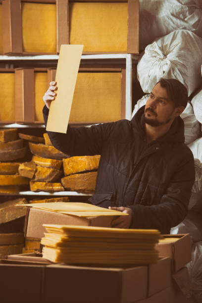 istock Visual inspection of beeswax products. 692923102