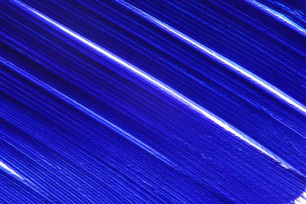istock Color Feather, macro detail of each thin line 692926824