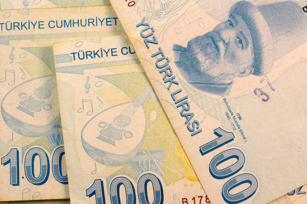 istock Close up Turkish lira currency note 692930482