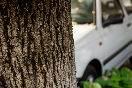 conceptual image of a car stucked in a tree