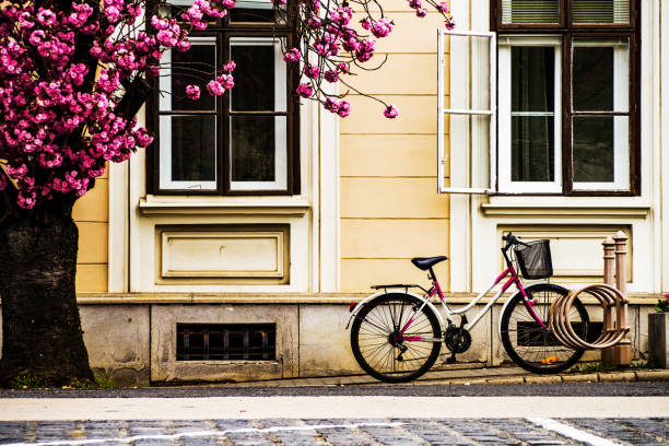 Bicycle and blooming tree by old building in spa town Sarvar (Hungary)